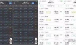 海南游客爆料最新消息,海滩现神秘生物，引发热议！