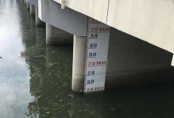 最新王家坝爆料,揭秘背后惊人真相