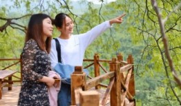 青山最新爆料,最新爆料揭示娱乐圈惊人内幕
