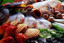 城阳海鲜爆料事件真相最新,揭开真相背后的惊人内幕