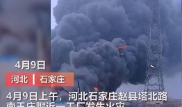 魏县最新事件爆料视频曝光,视频曝光揭示惊人真相