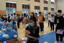 镇平爆料传销案件最新消息,揭秘涉案人员及资金流向追踪